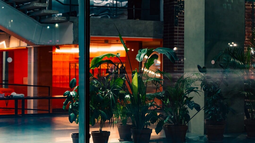 Bright modern reception desk with plants and soft lighting